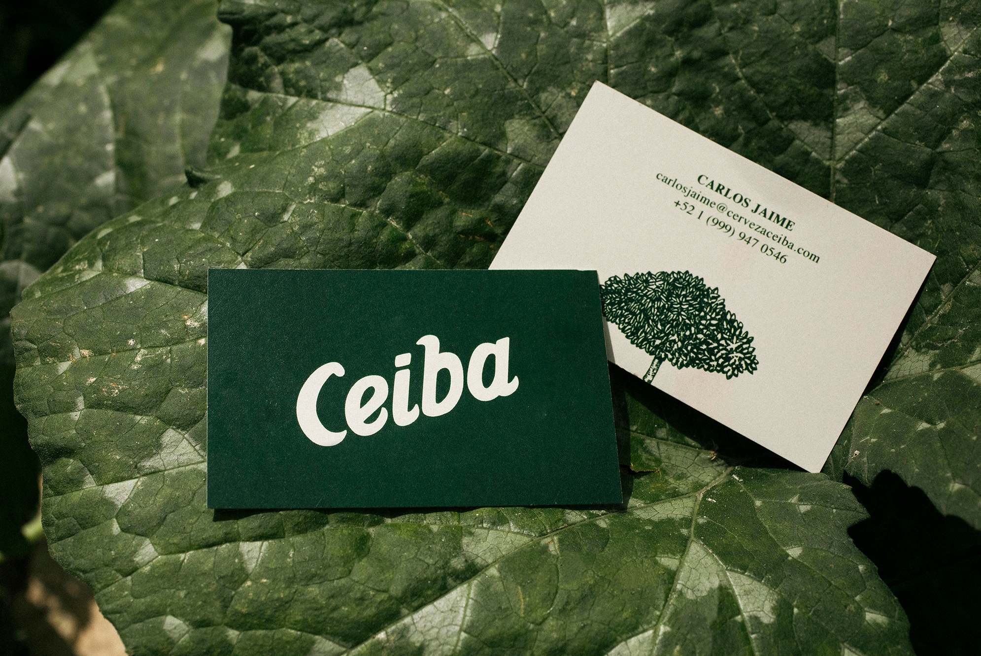 10.2_Ceiba_oe13
