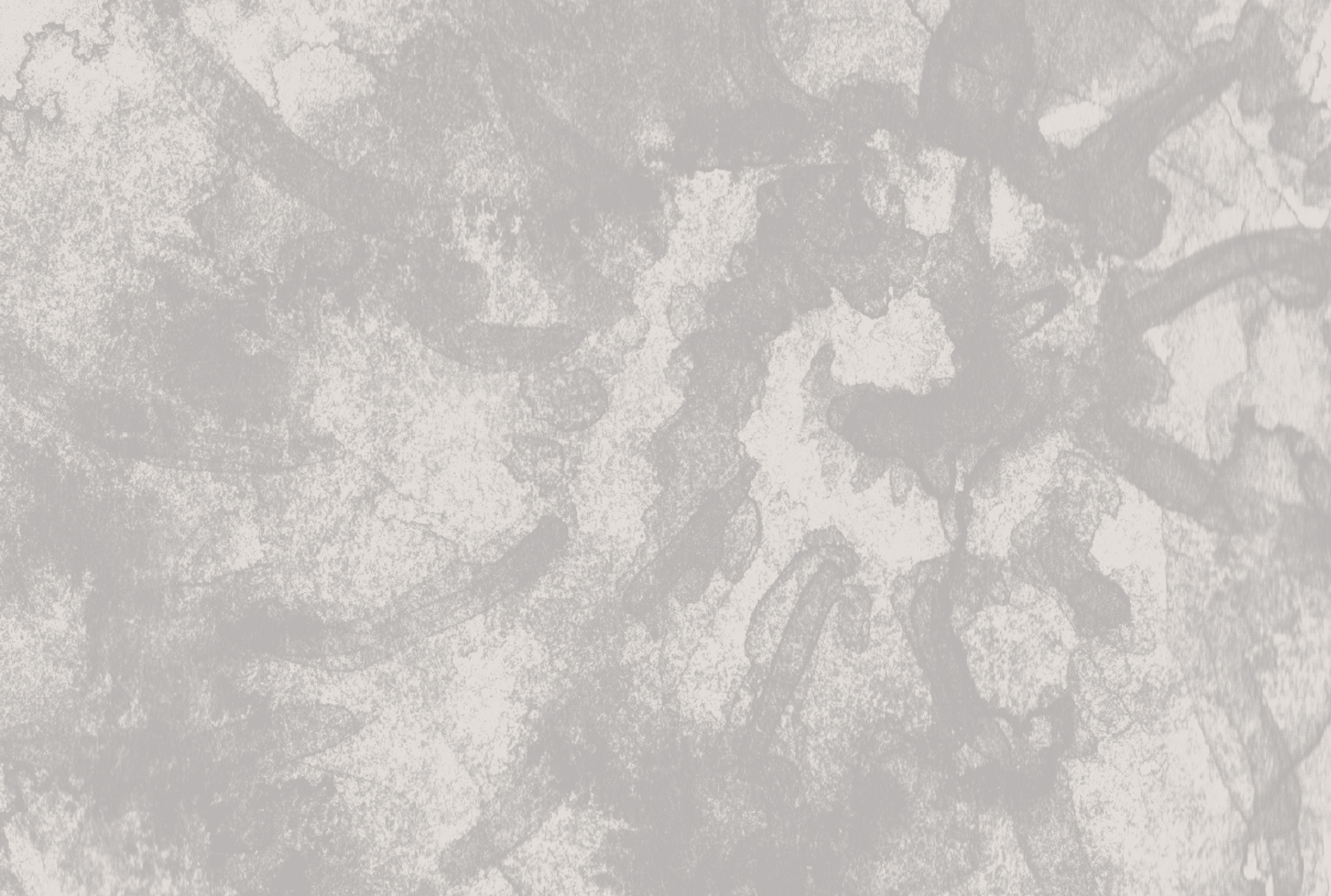 12511460225403.5a42d7366f8ed 12511460225403.5a42d7366f8ed