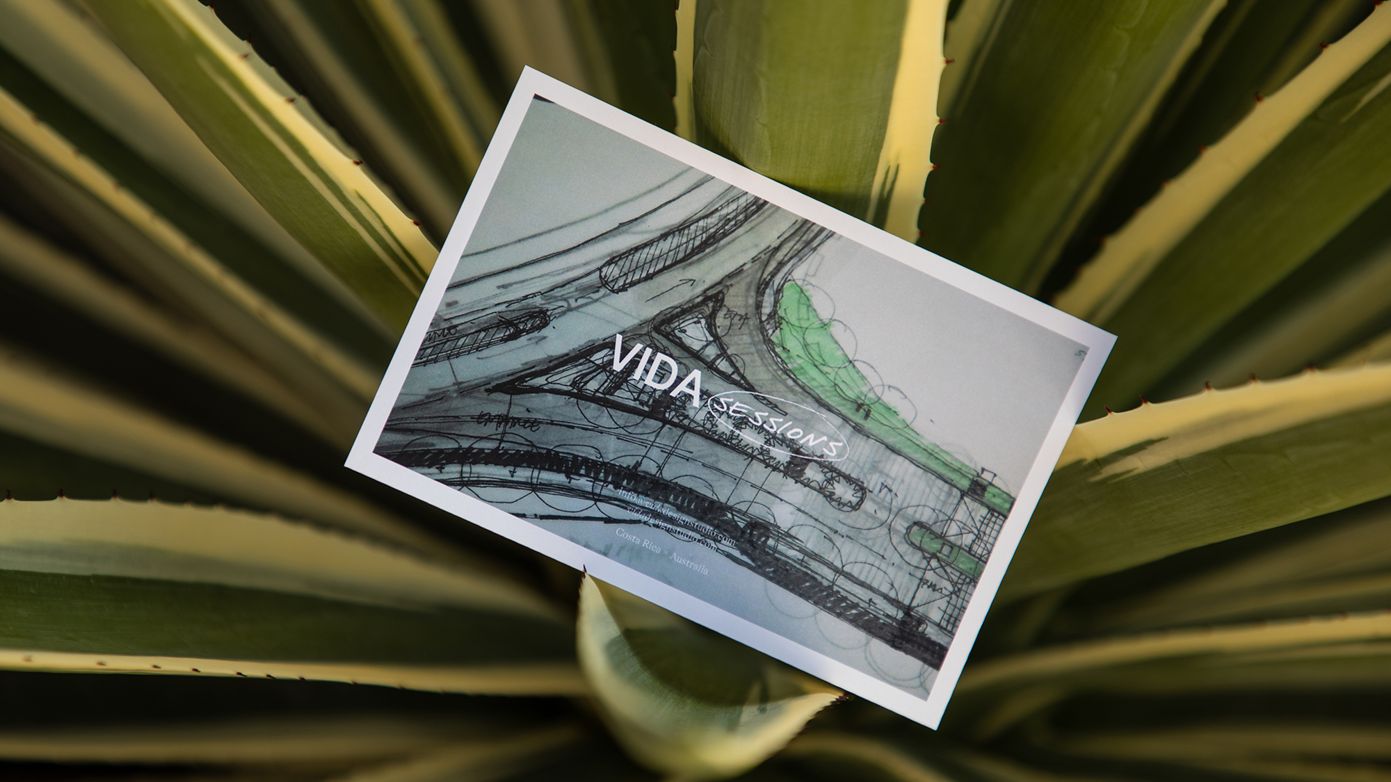 Vida_Photo_Web_01_6dWW